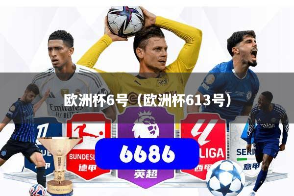 欧洲杯6号（欧洲杯613号）