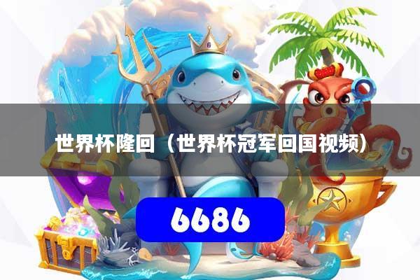 世界杯隆回（世界杯冠军回国视频）